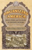 Organizing America (eBook, ePUB)