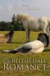 Blithedale Romance (eBook, PDF) - Bild 1