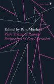 Pink Triangles (eBook, ePUB)