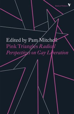 Pink Triangles (eBook, ePUB) - Mitchell, Pam