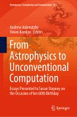 From Astrophysics to Unconventional Computation (eBook, PDF)