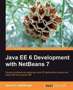 Java EE 6 Development with NetBeans 7 (eBook, PDF) - Heffelfinger, David R.