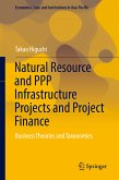 Natural Resource and PPP Infrastructure Projects and Project Finance (eBook, PDF)