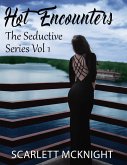 Hot Encounters - The Seductive Series Vol 1 (eBook, ePUB)