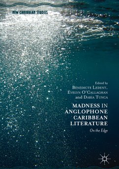 Madness in Anglophone Caribbean Literature (eBook, PDF)