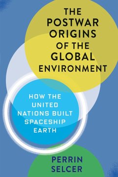 Cover The Postwar Origins of the Global Environment (eBook, ePUB)