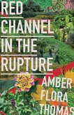 Red Channel in the Rupture (eBook, ePUB)