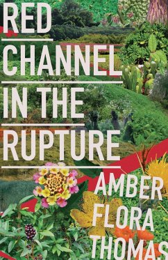 Red Channel in the Rupture (eBook, ePUB) - Thomas, Amber Flora