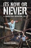 It's Now or Never (eBook, ePUB)