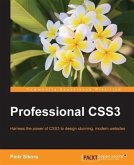Professional CSS3 (eBook, PDF)