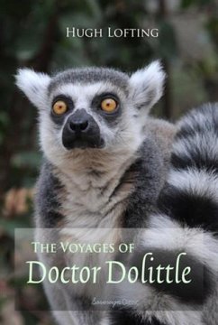 Cover Voyages of Doctor Dolittle (eBook, PDF)