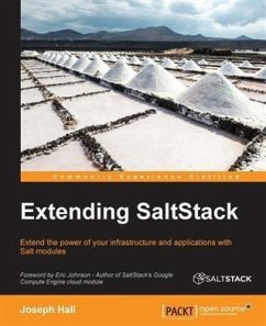 Extending SaltStack (eBook, PDF) - Hall, Joseph