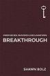 Breakthrough (eBook, ePUB) - Bild 1