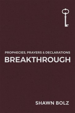 Breakthrough (eBook, ePUB) - Bolz, Shawn
