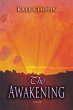 Awakening (eBook, PDF) - Bild 1