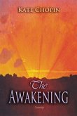 Awakening (eBook, PDF)