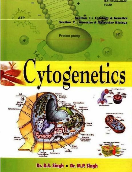Cytogenetics (eBook, ePUB)