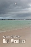 Bad Weather (eBook, PDF)