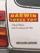 Darwin Loves You (eBook, ePUB) - Bild 1