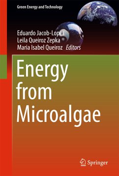 Energy from Microalgae (eBook, PDF)