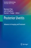 Posterior Uveitis (eBook, PDF)