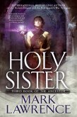 Holy Sister (eBook, ePUB)