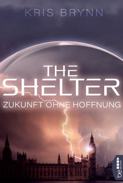 The Shelter - Zukunft ohne Hoffnung - Brynn, Kris