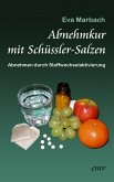 Abnehmkur mit Schüssler-Salzen (eBook, ePUB)