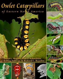 Cover Owlet Caterpillars of Eastern North America (eBook, PDF)