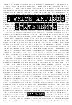 Cover I Write Artist Statements (eBook, ePUB)