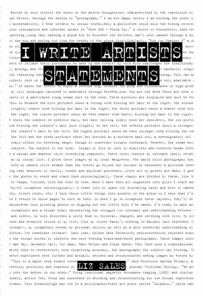 I Write Artist Statements (eBook, ePUB)
