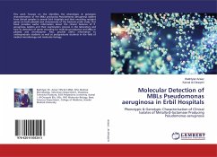 Molecular Detection of MBLs Pseudomonas aeruginosa in Erbil Hospitals