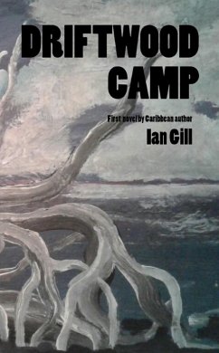 Driftwood Camp (eBook, ePUB) - Gill, Ian