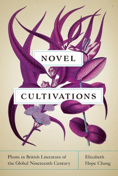 Cover Novel Cultivations (eBook, ePUB)
