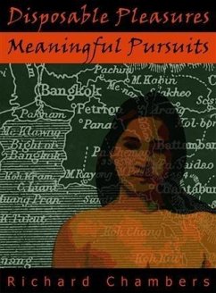 Cover Disposable Pleasures - Meaningful Pursuits (eBook, PDF)