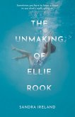 The Unmaking of Ellie Rook (eBook, ePUB)