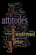 Attitudes (eBook, ePUB) - Bild 1
