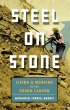 Steel on Stone (eBook, ePUB) - Bild 1