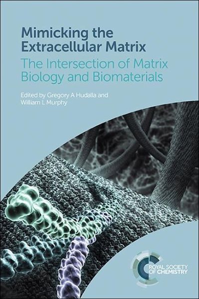 Mimicking the Extracellular Matrix (eBook, ePUB) Mimicking the Extracellular Matrix (eBook, ePUB)