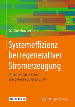 Systemeffizienz bei regenerativer Stromerzeugung (eBook, PDF) - Brauner, Günther