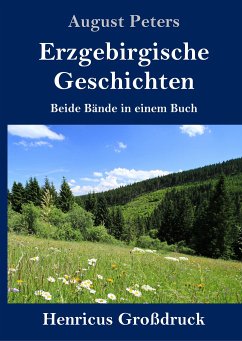 Erzgebirgische Geschichten (Großdruck) - Peters, August