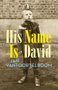 His Name is David (eBook, ePUB) - Vantoortelboom, Jan