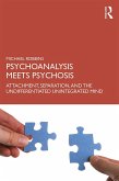Psychoanalysis Meets Psychosis (eBook, ePUB)