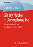 Glassy Nuclei in Amorphous Ice (eBook, PDF)