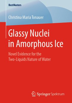 Glassy Nuclei in Amorphous Ice (eBook, PDF) - Tonauer, Christina Maria