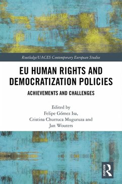 EU Human Rights and Democratization Policies (eBook, PDF)