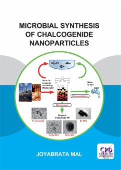 Microbial Synthesis of Chalcogenide Nanoparticles (eBook, PDF) - Mal, Joyabrata