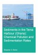 Sediments in the Tema Harbour (Ghana)... - Bild 1
