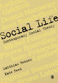Social Life (eBook, ePUB)