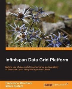 Cover Infinispan Data Grid Platform (eBook, PDF)